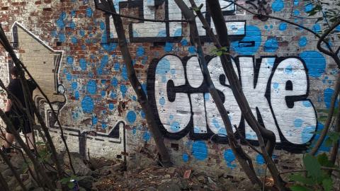 Photo from The haven