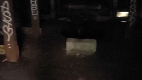 Photo from The haven