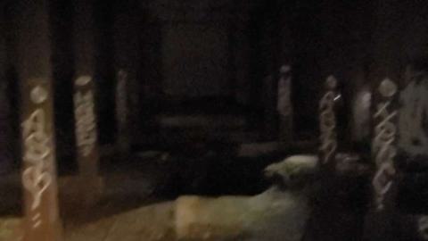 Photo from The haven