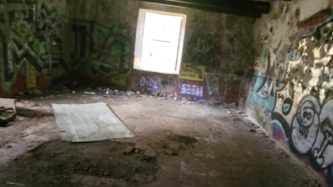 In the fall a few years back - Screen Shot 2024-03-17 at 9.57.24 PM.png