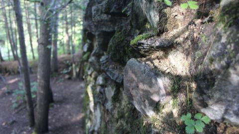 Mossy rock wall