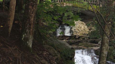 Bridge and falls