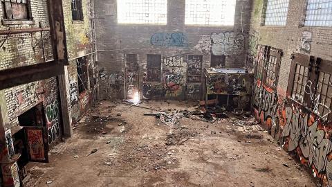 Linseed 2024 - 89C419B8-CDF4-49E4-AE86-85A3944AA8E9.jpeg