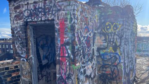 Linseed 2024 - FFFE3657-0EE6-4CA0-A8C8-ACE3A6BF861F.jpeg