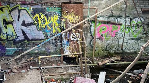 Linseed 2024 - 149465A1-906A-4B10-A0AB-3A223CDD0CA0.jpeg