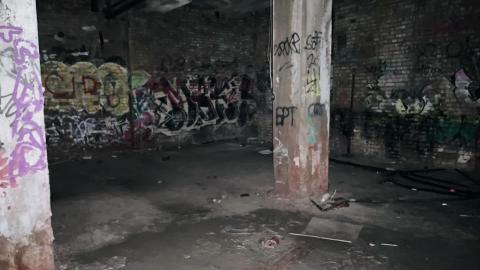 Linseed 2024 - E73B237E-6C43-43F5-8351-1D77424E899E.jpeg