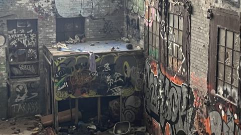 Linseed 2024 - IMG_1109.jpeg