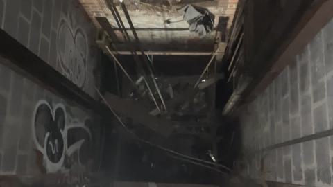 Linseed 2024 - IMG_1101.jpeg