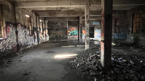 Linseed 2024 - IMG_1087.jpeg