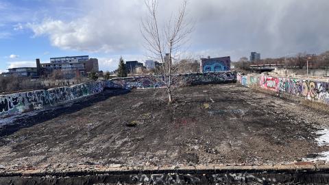 Linseed 2024 - IMG_1092.jpeg