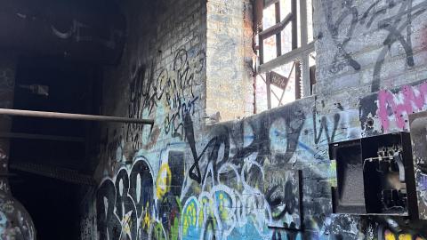 Linseed 2024 - IMG_1073.jpeg