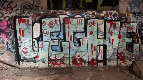 Linseed 2024 - IMG_0988.jpeg