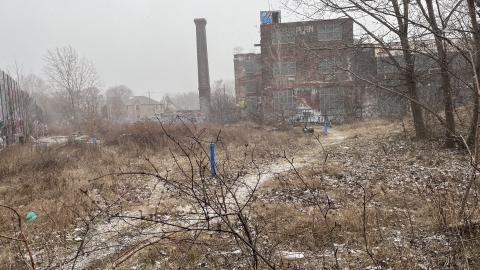 Linseed 2024 - IMG_0983.jpeg