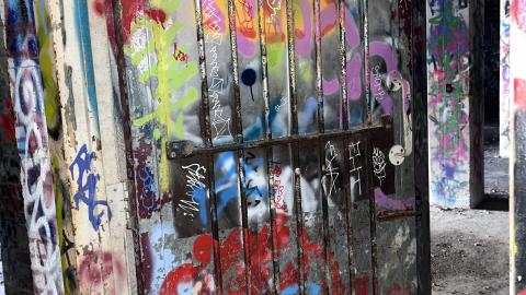 Linseed 2024 - IMG_1111.jpeg