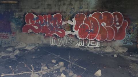 scaring people is what I do aha - 20240312_180345.jpg