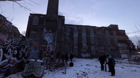 Linseed Fact - 1000003743.jpg