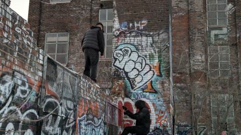 Linseed Fact - 1000003736.jpg