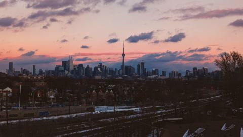 Linseed Fact - 1000003748.jpg