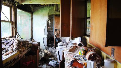 May 2015 - IMG_4584.jpeg