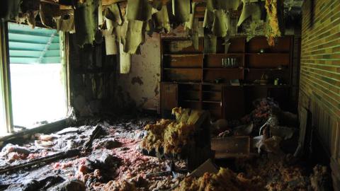 May 2015 - IMG_4586.jpeg