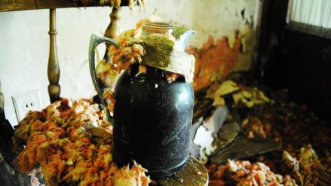 May 2015 - IMG_4587.jpeg