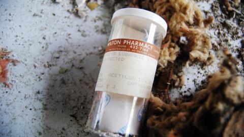 May 2015 - IMG_4596.jpeg