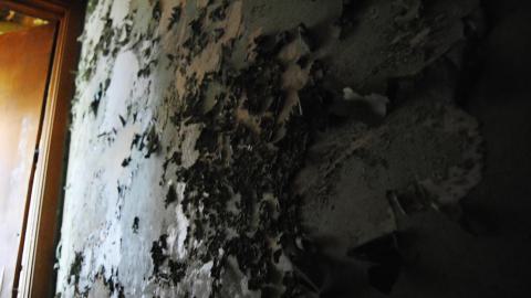 May 2015 - IMG_4602.jpeg