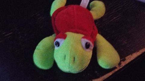 old photos... - 20220203_134223.jpg