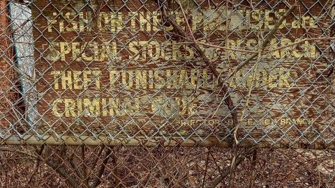 Photo from Summer Service Buildings (Not Entirely)