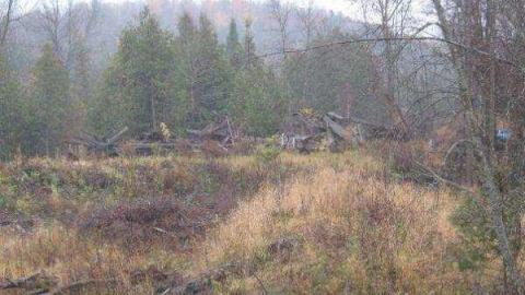 Gallery - Herron-Mills-Ghost-Town4.jpg