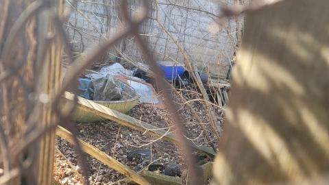 Mar, 31, 2024 - 20240331_164901.jpg