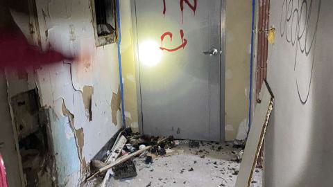 Ronnie - image_123650291 (2).JPG