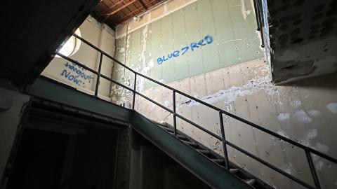 Ronnie - IMG_4678.jpg