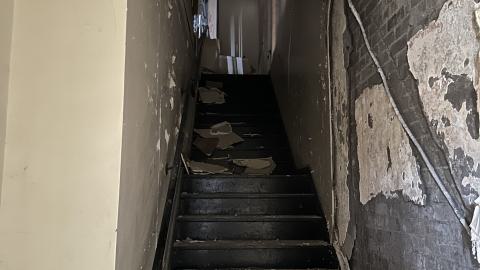 Ronnie - IMG_4681.jpg