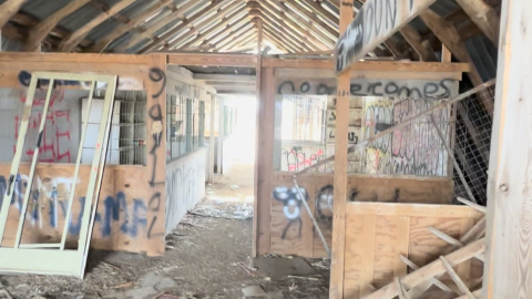 March 2024 Visit - IMG_4726.PNG