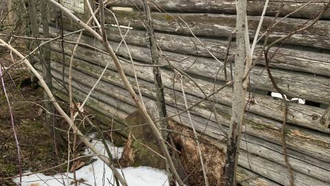 Cabin Cave-in photo 5