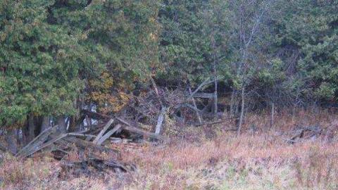 Gallery - Herron-Mills-Ghost-Town7.jpg