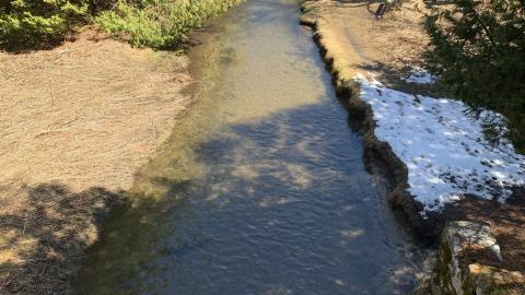 Photo from Perfect preservation