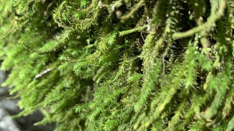 Photo from Perfect preservation