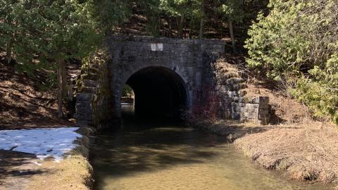 Further down the trail