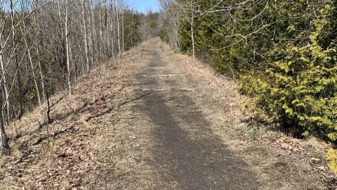 Photo from Perfect preservation