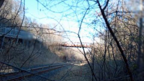 everything changes - 433365519_3974726372755048_1945238722495371304_n.jpg