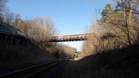 everything changes - 430970916_1594415377960760_413039398792863235_n.jpg