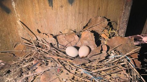 The Time Is Now - 436535491_961670358695683_2538526721194533134_n.jpg