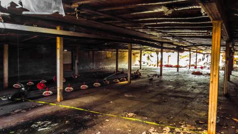 Golf Cart Poultry Farm - IMG_4407-2.jpg