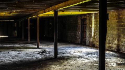 Golf Cart Poultry Farm - IMG_4410-2.jpg