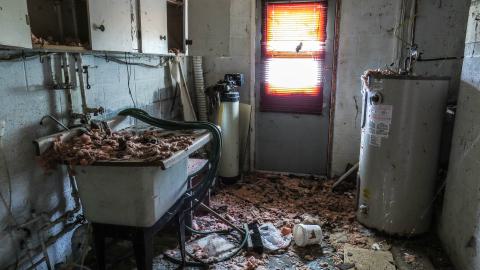 Golf Cart Poultry Farm - IMG_2524-2.jpg