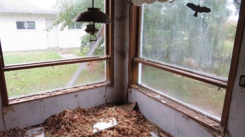 Golf Cart Poultry Farm - IMG_2528.JPG