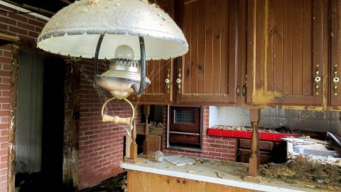 Golf Cart Poultry Farm - IMG_2529-2.jpg