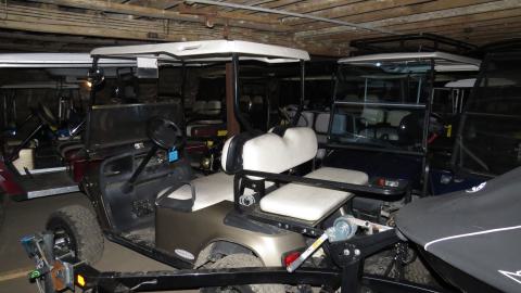 Golf Cart Poultry Farm - IMG_3805.JPG